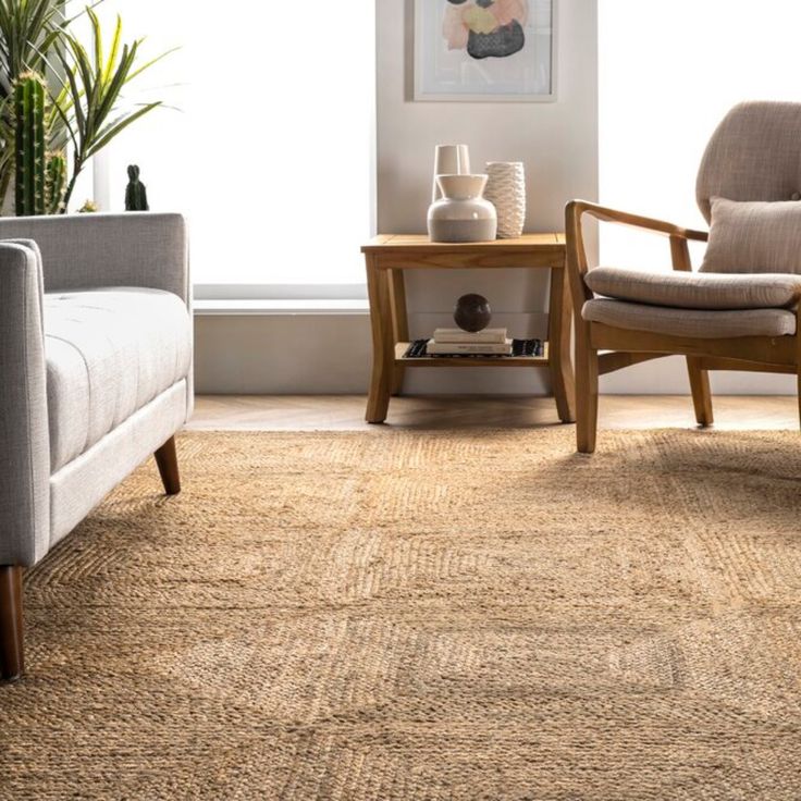 Natural Fiber Rugs for Living Rooms