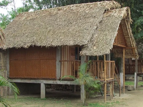 assam type home design