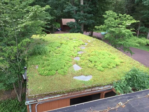 . Manages Rainwater and Reduces Flooding