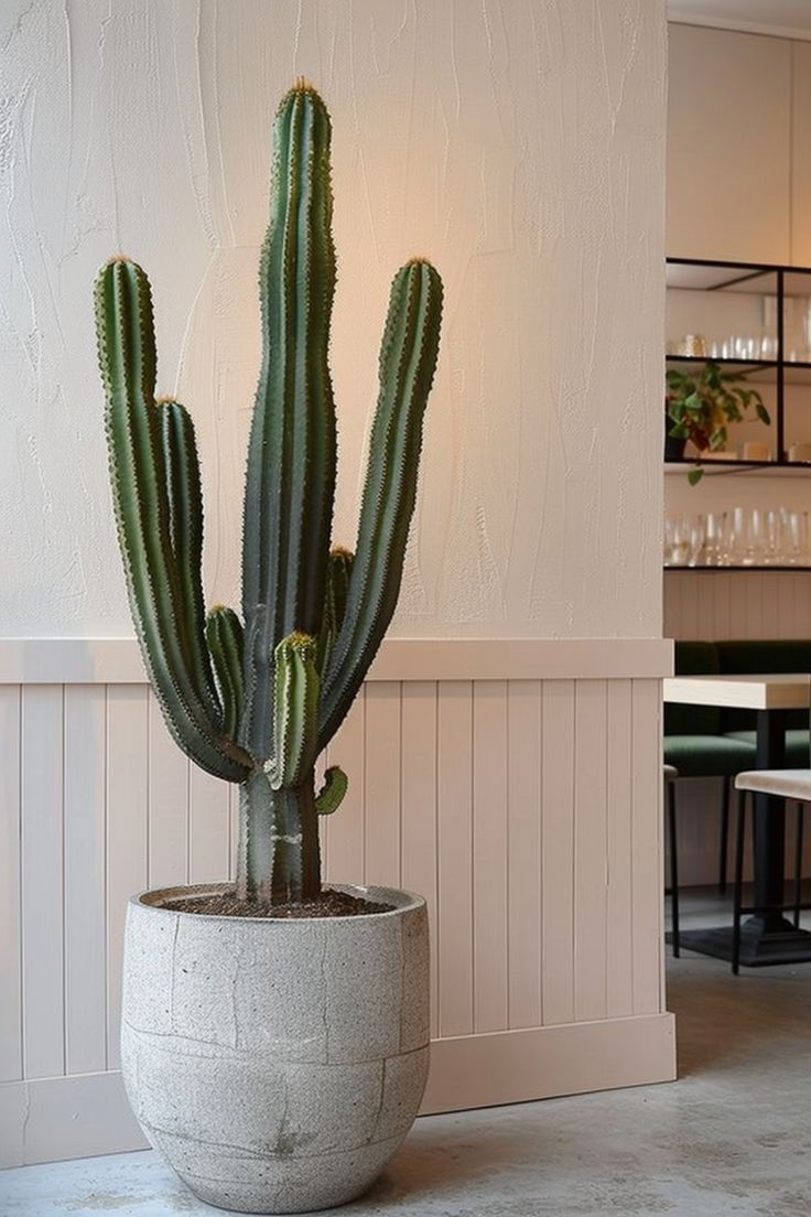 vastu plants